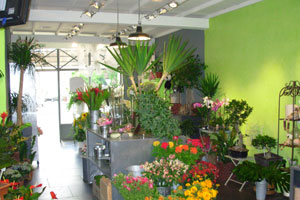 ESPRIT NATURE
