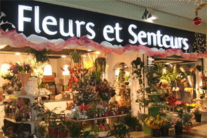 FLEURS ET SENTEURS