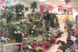 SARL LES FLEURS DE JULIA