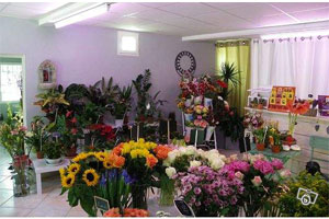 LES JARDINS D OPALE      