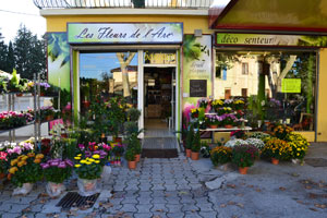 LES FLEURS DE L ARC