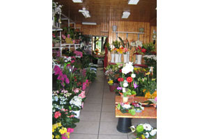 DECO FLEURS