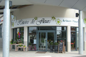 HISTOIRE DE FLEURS