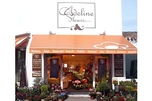 ADELINE FLEURS
