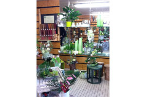 ALLIANCE NATURE ET FLEURS