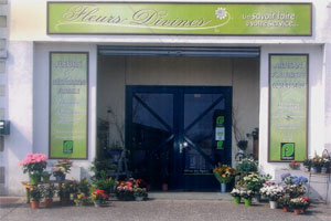 FLEURS DIVINES