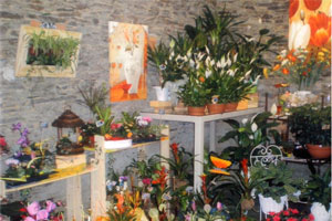 MARCELLE FLEURS