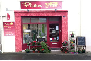 PEPITES DE FLEURS