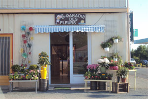 O PARADIS DES FLEURS     