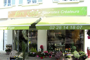 VERT TIGE