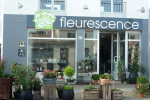 FLEURESCENCE