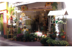 AU DETOUR D UNE FLEUR