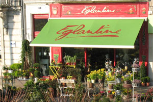 EGLANTINE