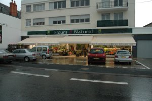 FLEURS O NATUREL SARL IRIS