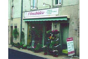 L ORCHIDEE