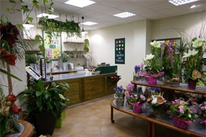 LE JARDIN DES FLEURS     