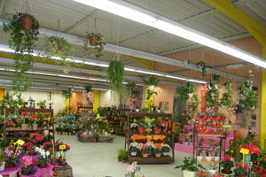 LE RENDEZ VOUS DES FLEURS