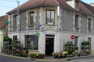 FRANCOISE FLEURS
