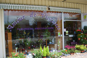 AMOUR DE VIOLETTES