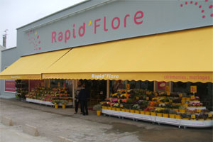 SARL SENS FLORE