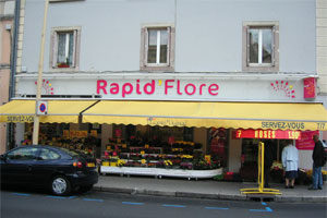LAMY FLEURS 