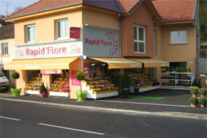 LAMY FLEURS
