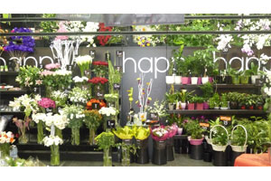 HAPPY (BRETIGNY SUR ORGE)