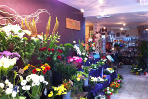 LE MARCHE AUX FLEURS