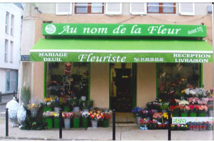 AU NOM DE LA FLEUR