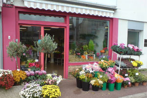 FLEURS ET SENS