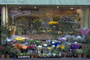LES FLEURS DE LA FERTE