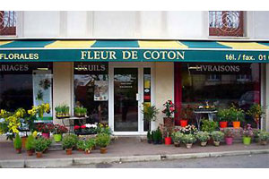 FLEUR DE COTON