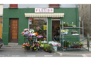 ANDR�E FLEURS