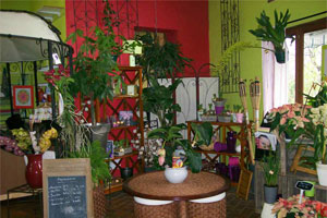 AU JARDIN D EDEN