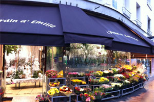 LE JARDIN D EMILIE
