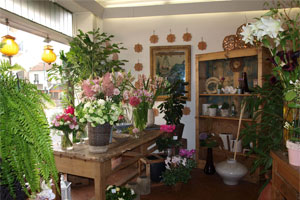 NICOLAS FLEURS ET JARDINS
