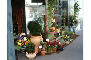 FEUILLEBOIS