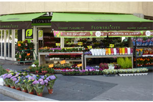 FLOWERS CITY SARL DOUDOU