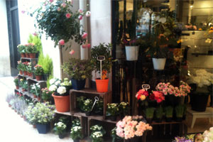 LES SENS D UN BOUQUET