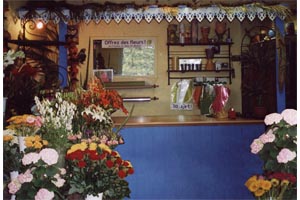 L ILE AUX FLEURS