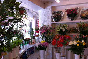 KATTY S FLEURS