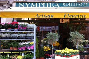 NYMPHEA