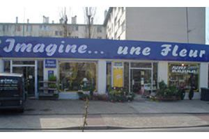 IMAGINE...