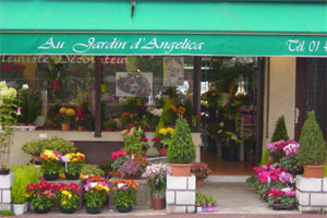 JARDIN D ANGELICA