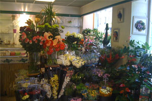 KELLY FLEURS