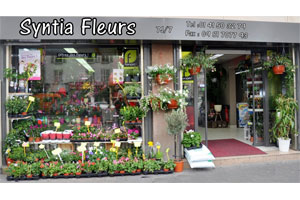 SYNTIA FLEURS