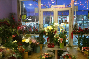 ELIZABETH FLEURS