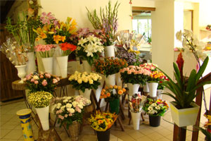 AUX ROSES DE MANDRES