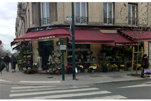 CHATEAU FLEURS