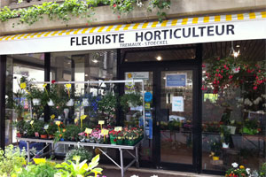 TREMAUX FLEURS